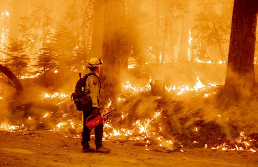 California'da orman yangınları evleri küle çevirdi - 4