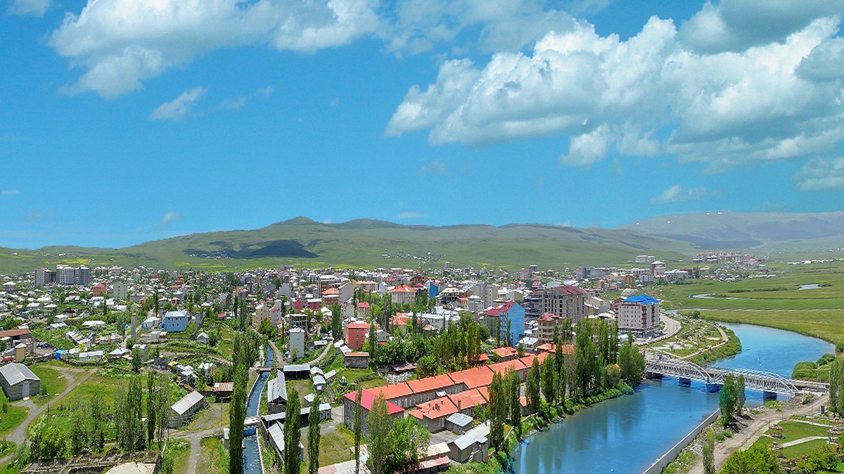 Ardahan'da 20 düzensiz göçmen yakalandı - Son Dakika Ardahan Göle Haberleri  | NTV Haber