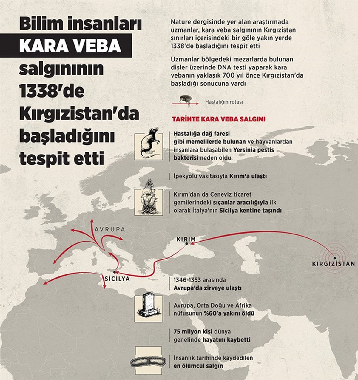 Nature dergisinde yer alan araştırmada uzmanlar, kara veba salgınının Kırgızistan sınırları içerisindeki bir göle yakın yerde 1338