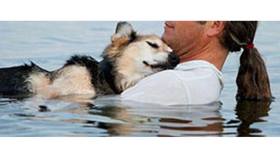 Бесплатный собака мужчина. Парень с собакой. Парень с собакой на руках. Мужчина кобелина. Мужчина с собакой на пляже.