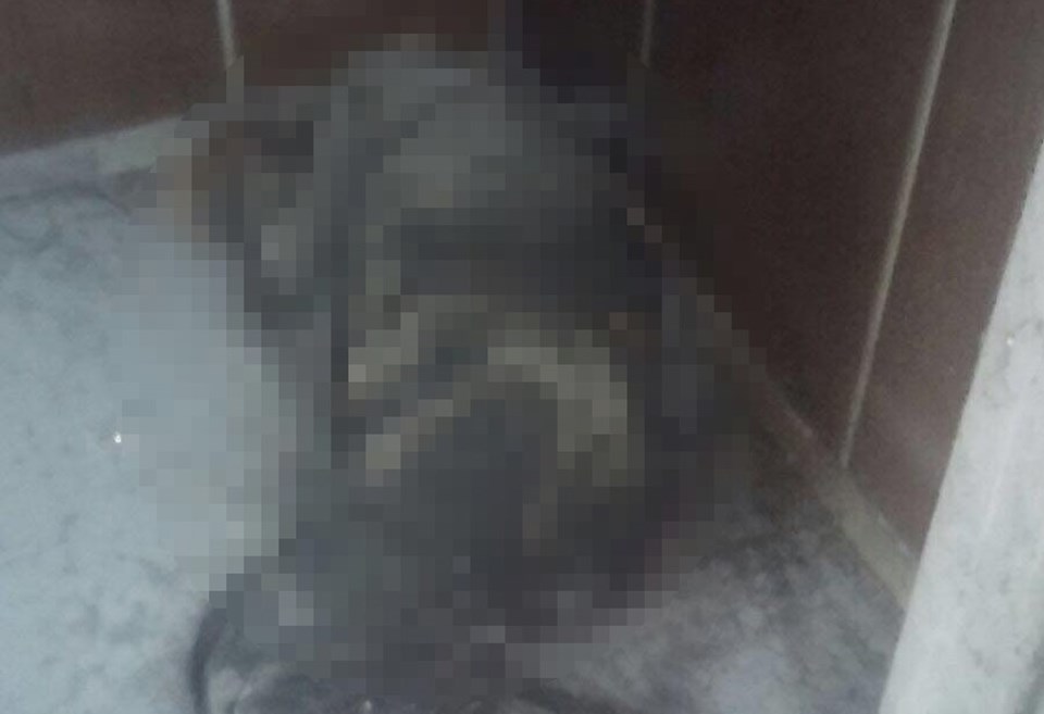 Asansörde çürümüş erkek cesedi bulundu - 2