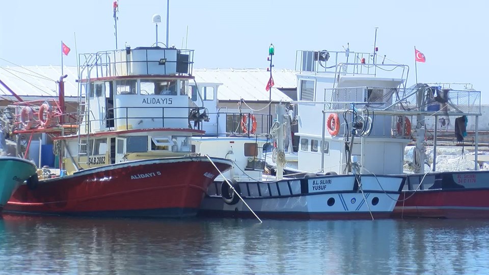 Uzmanlar ve balıkçılar arasında 'Marmara Denizi'nde av sezonu ertelenmeli mi?' tartışması - 1
