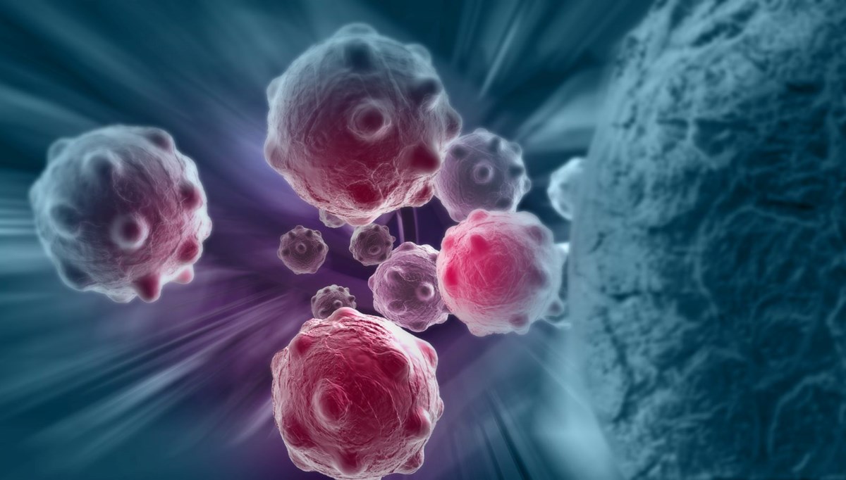Kanserle mücadelede hedef: İlk hücre
