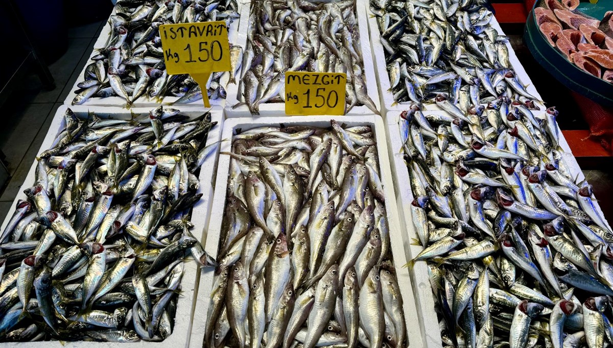 Trabzon'da mezgit ve istavritin kilogramı 150 liradan satılıyor Trabzon'da mezgit ve istavritin kilogramı 150 liradan satılıyor