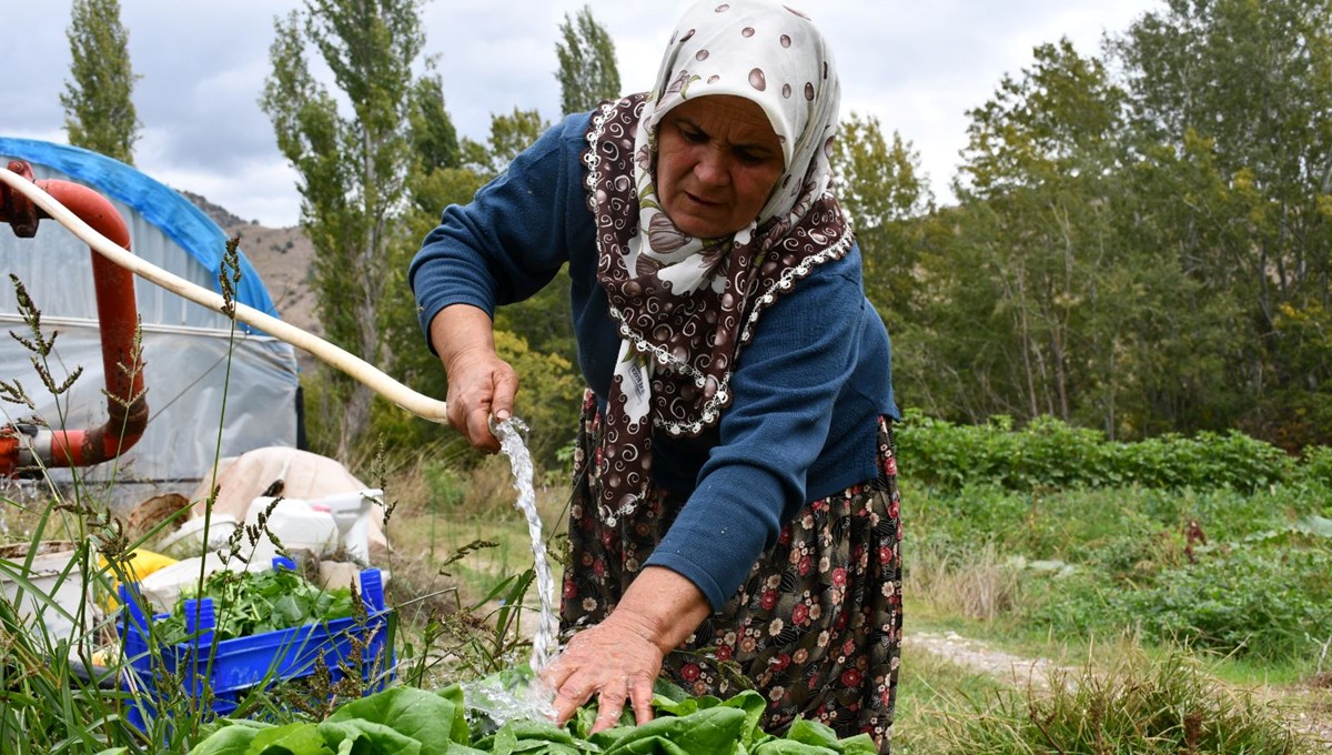 10 dönüm arazide tek başına 14 çeşit yetiştiriyor: İlçede siparişlere yetişemiyor