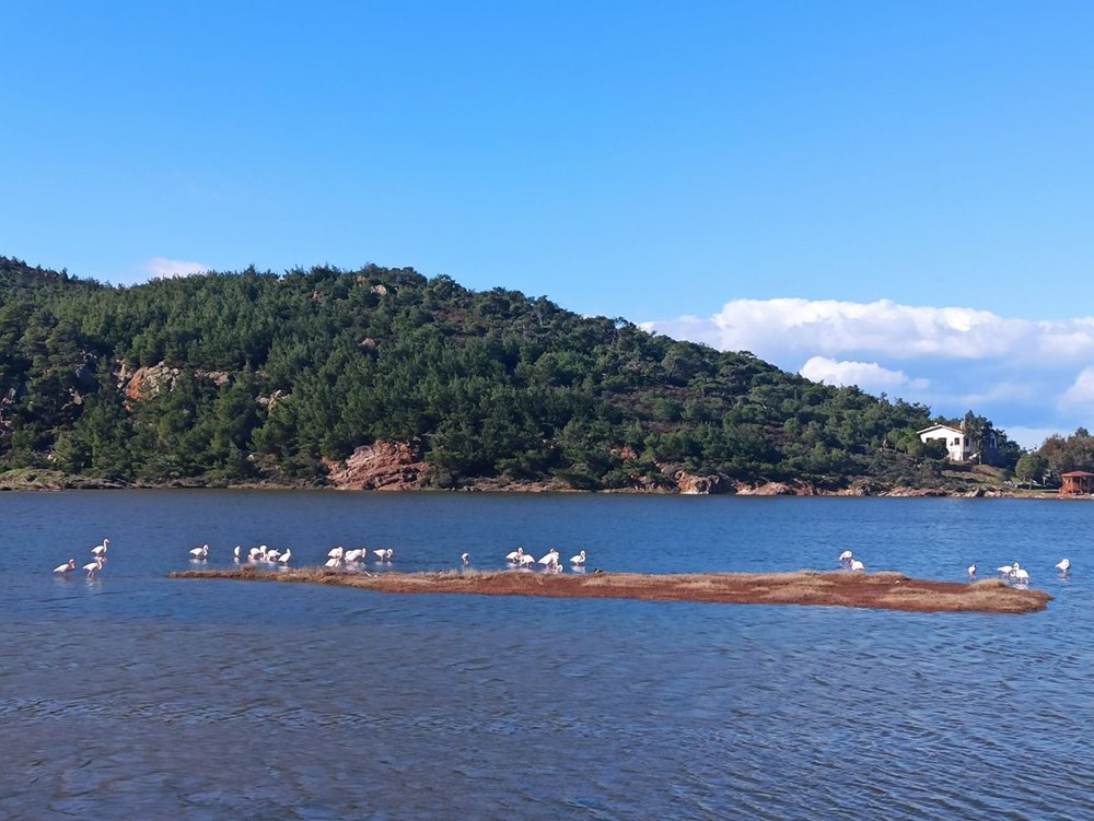 İda Madra Jeoparkı UNESCO yolunda - 10