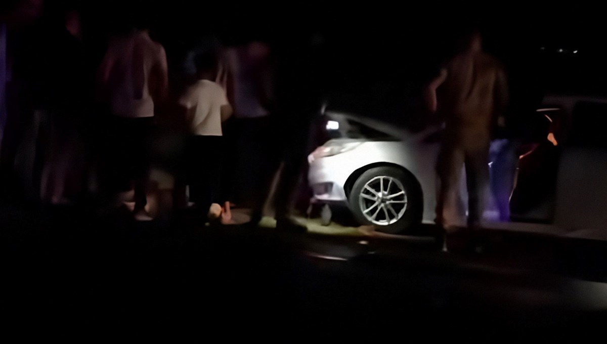 Van'da otomobil sürüye çarptı: 8 koyun telef oldu