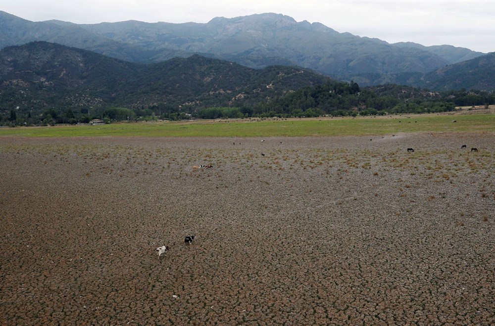Şili'de yağışlar üçte bir seviyesine düştü, kuraklık kırıp geçiriyor - 6