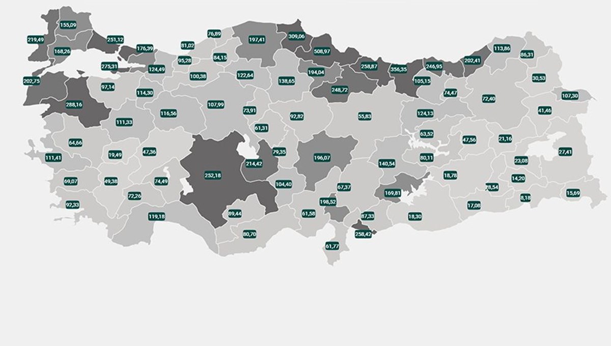 Risk haritasında 1 haftada 14 il daha kızardı: Tek mavi Şırnak kaldı