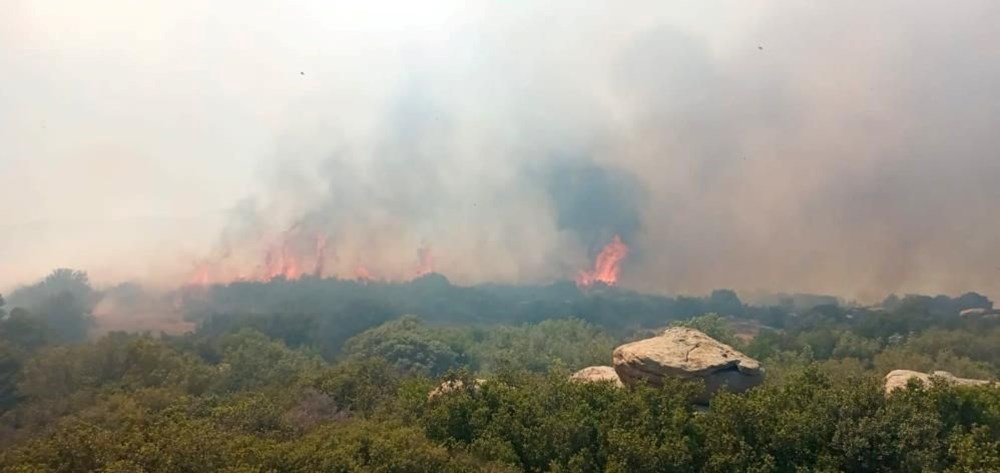Çanakkale'deki orman yangını kontrol altında - 1