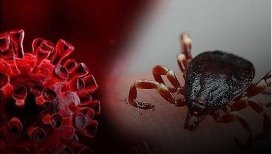 Kene kabusu can almaya devam ediyor: Sivas'ta bir ölüm daha