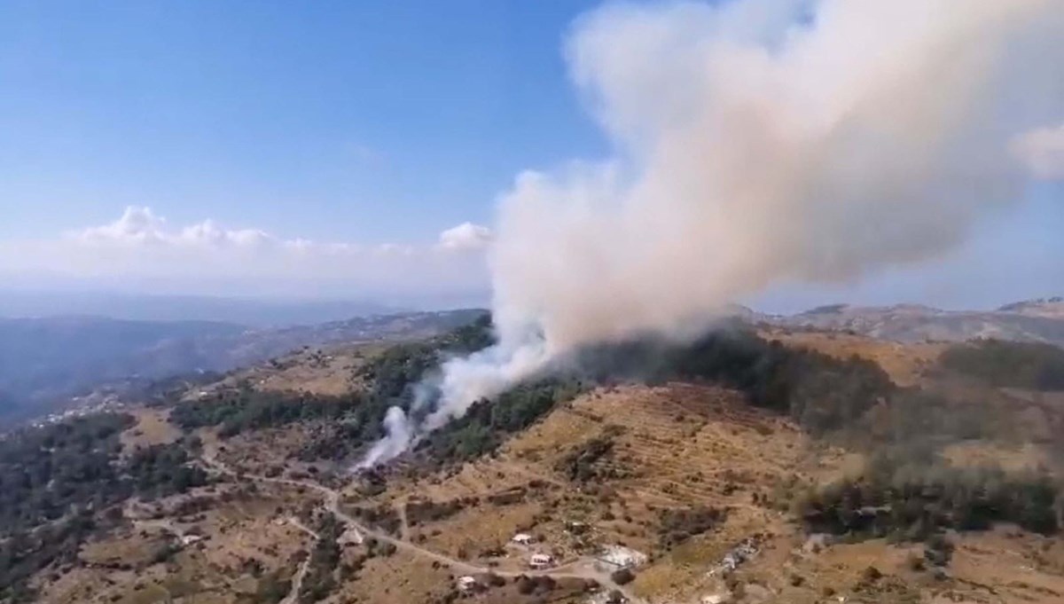 İzmir'de orman yangını