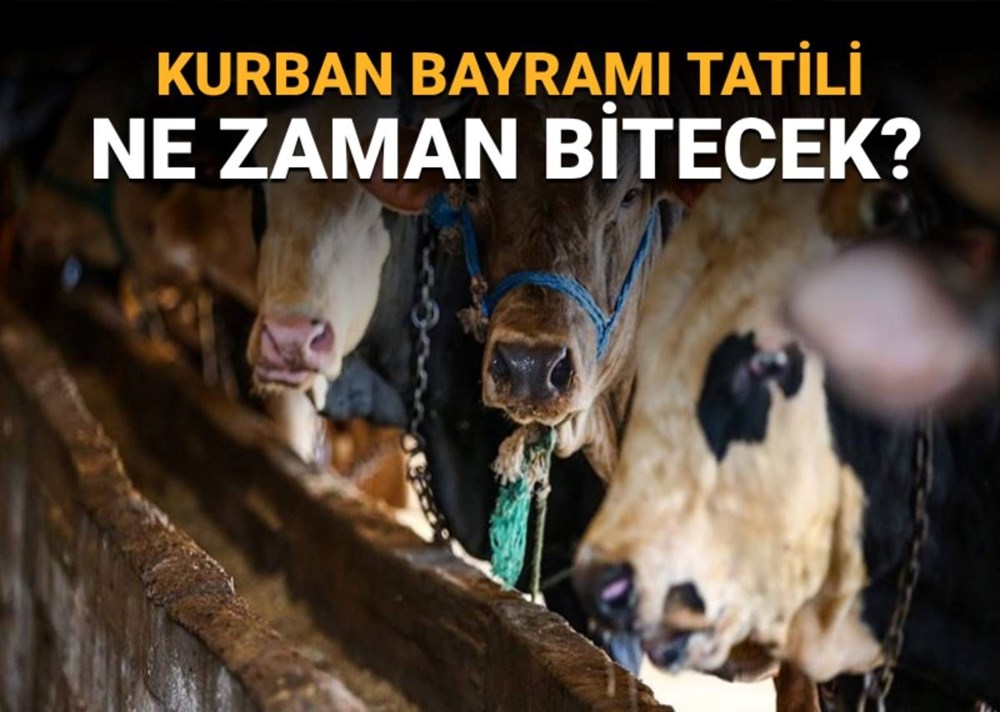 Bayram tatili ne zaman bitecek? (Diyanet takvimine göre 2025 Kurban Bayramı'nın son günü) - 1