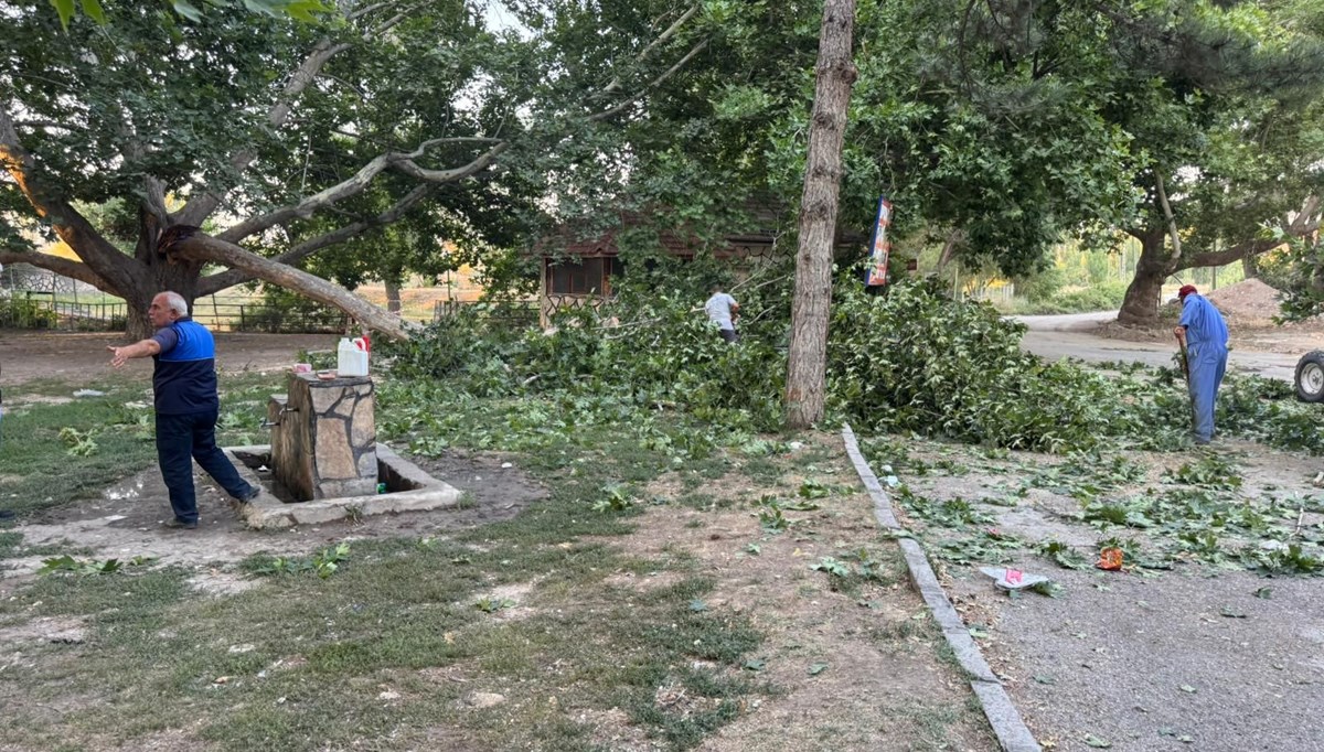 Piknikte korku dolu anlar: 11 kişi yaralandı Piknikte korku dolu anlar: 11 kişi yaralandı