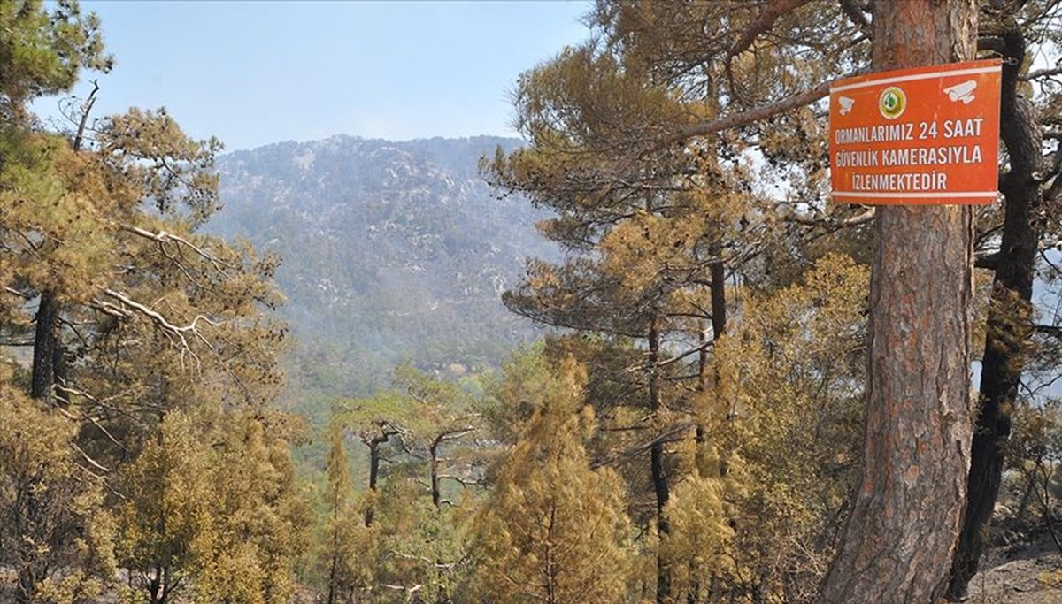 Muğla Valiliği'nden 'orman yangını' uyarısı