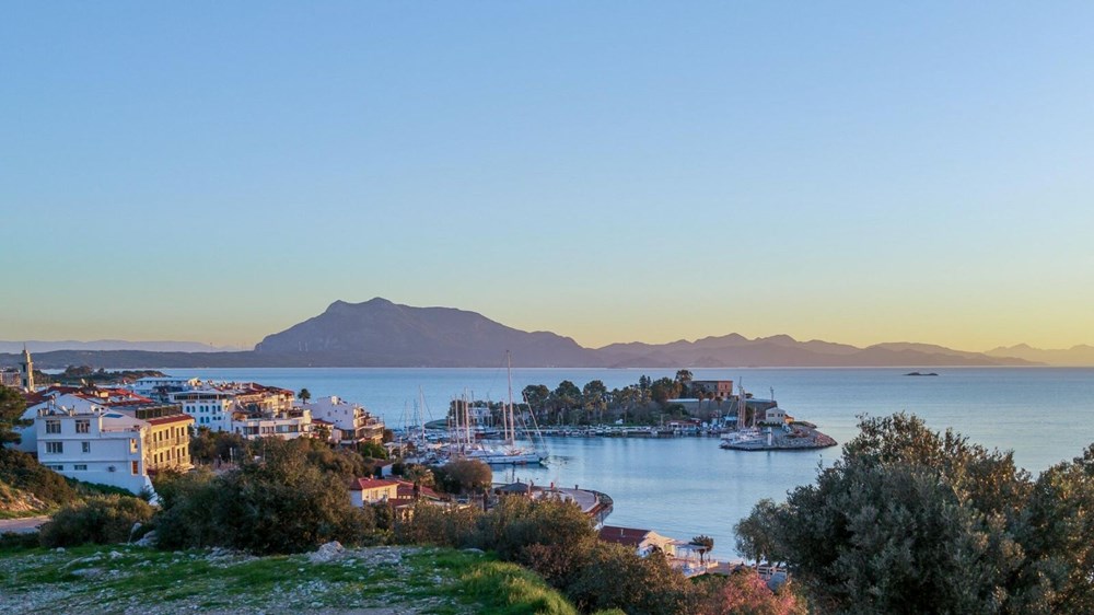 Bir ilçe karantinaya alındı: Mavi dil hastalığı - 5