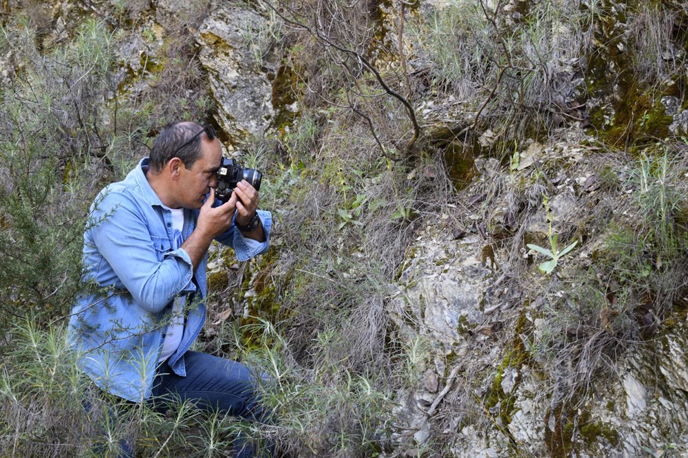 Antalya'nın Gizli Hazinesi: Bir Çiçeği Koparmanın Bedeli Bir Milyon TL! 74