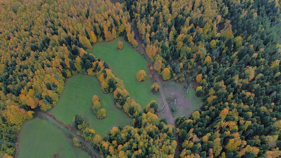 Kastamonu ormanlarında sonbahar güzelliği - 1