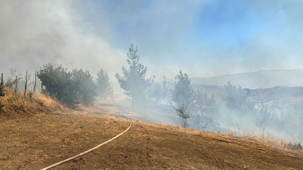 Edirne, Adana, Kahramanmaraş, İzmir ve Balıkesir'de orman yangını - 4