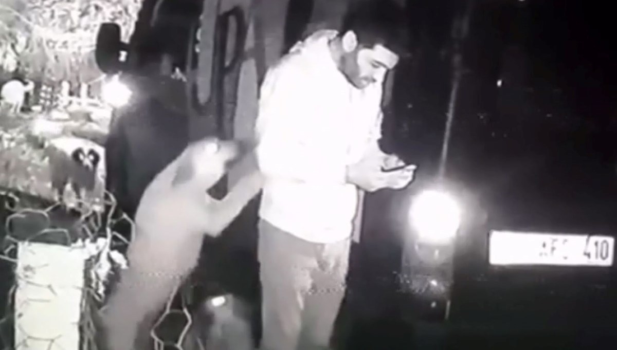 Hayvanları koruma derneği üyesinden köpeğe tekme