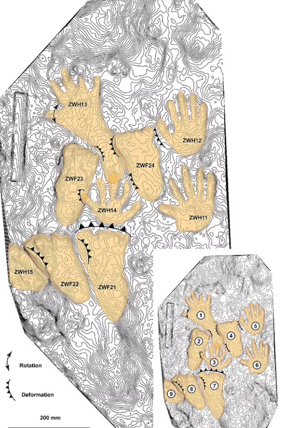 Dünyanın en eski sanat eseri bulundu: 226 bin yıllık - 5