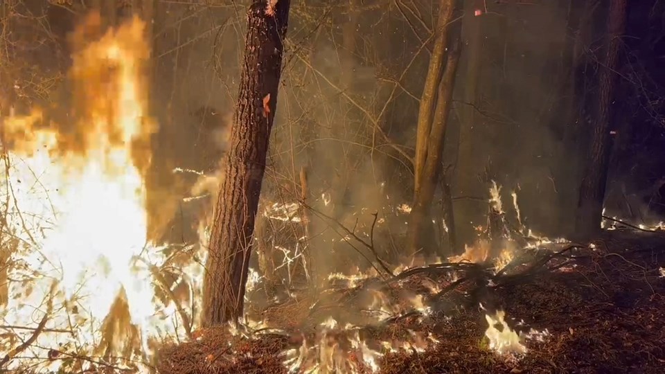 Düzce’de orman yangını: 6 dönüm arazi küle döndü - 1