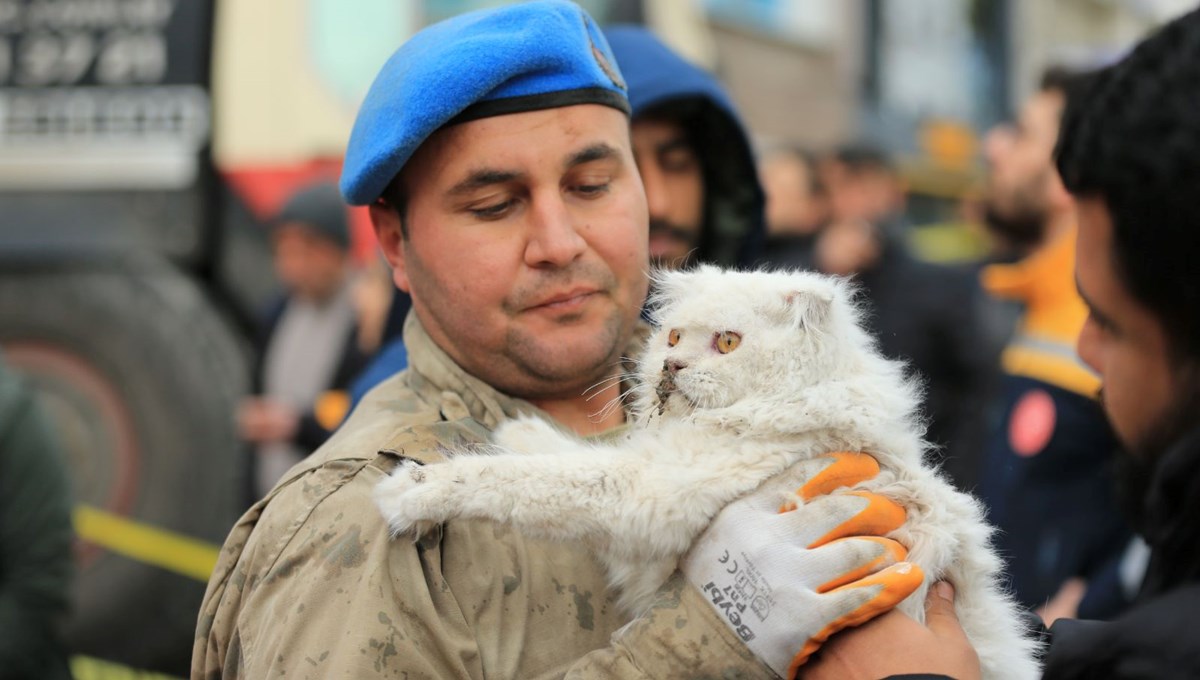 Diyarbakır'da çöken iş merkezinin enkazından bir kedi kurtarıldı Diyarbakır'da çöken iş merkezinin enkazından bir kedi kurtarıldı