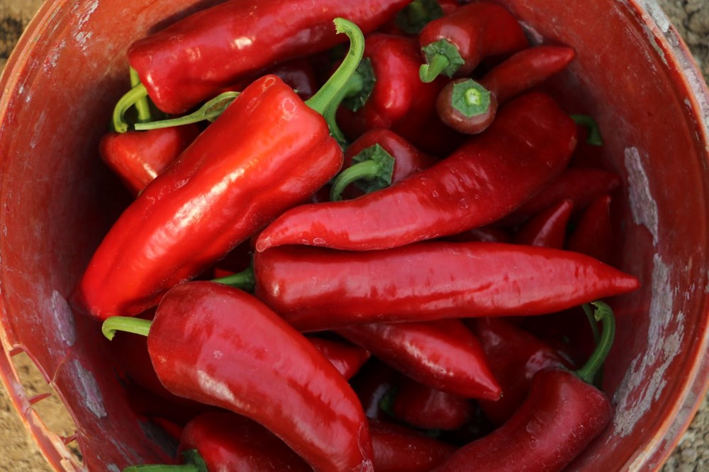 Zam Şampiyonu: Aynı Ürün, Cep Yakan Yeni Fiyat! 75 liI9OAoXXUeqBqYsTKsmdw