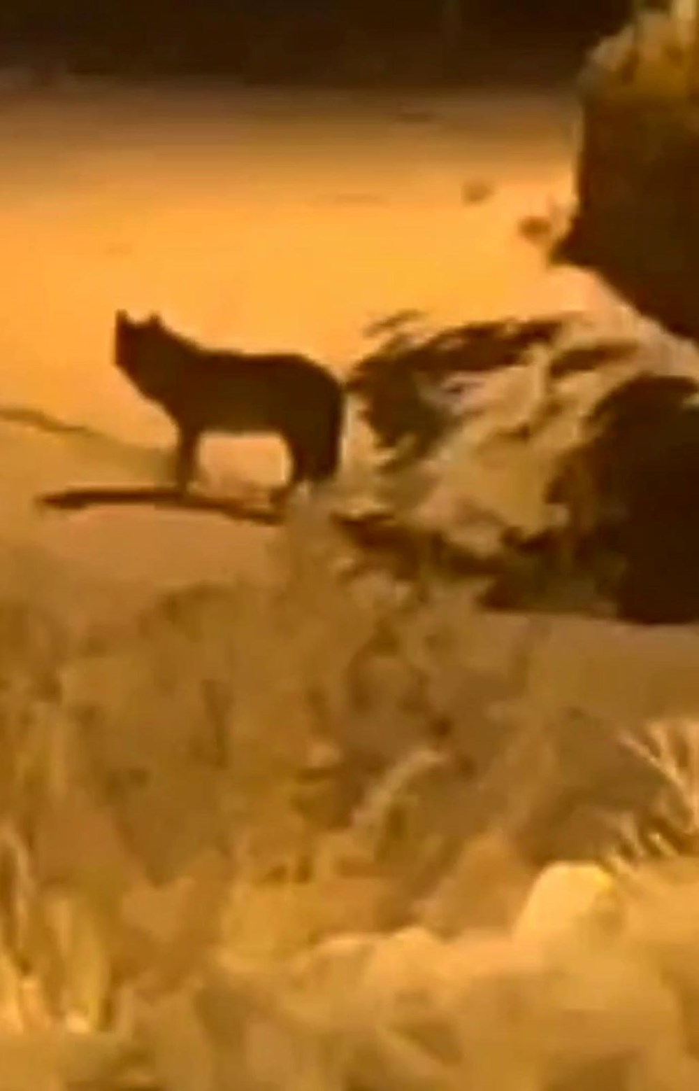 Türkiye'nin en soğuk yeri 28,4 ile Ardahan Göle oldu - 2