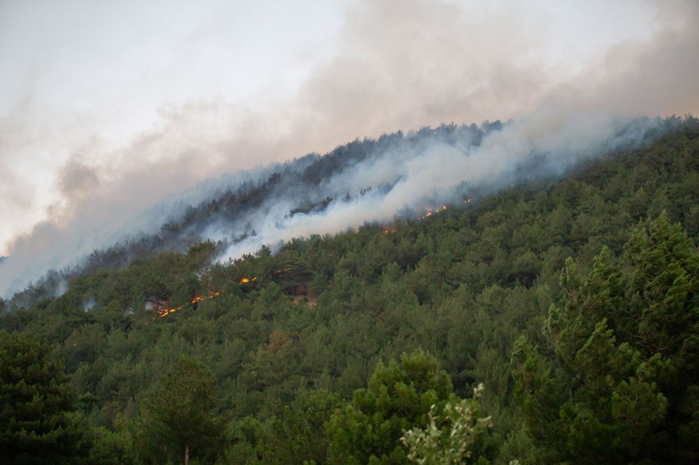 Hatay ve Mersin'de orman yangını - 16