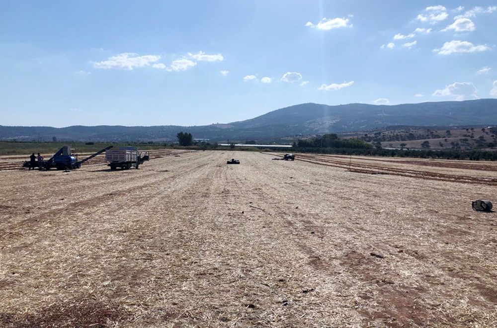 'Kuş Cenneti'nde bir damla bile su kalmadı! - 2