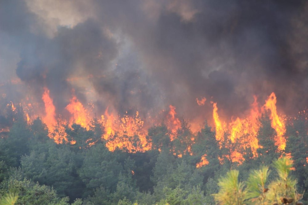 Çanakkale'de orman yangını - 2