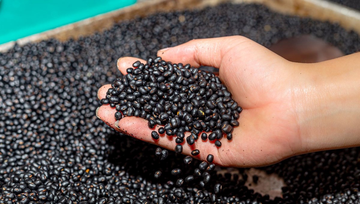 24 saat tok tutuyor, kasları geliştiriyor: Kilo vermeyi hızlandıran magnezyum kaynağı besin 24 saat tok tutuyor, kasları geliştiriyor: Kilo vermeyi hızlandıran magnezyum kaynağı besin