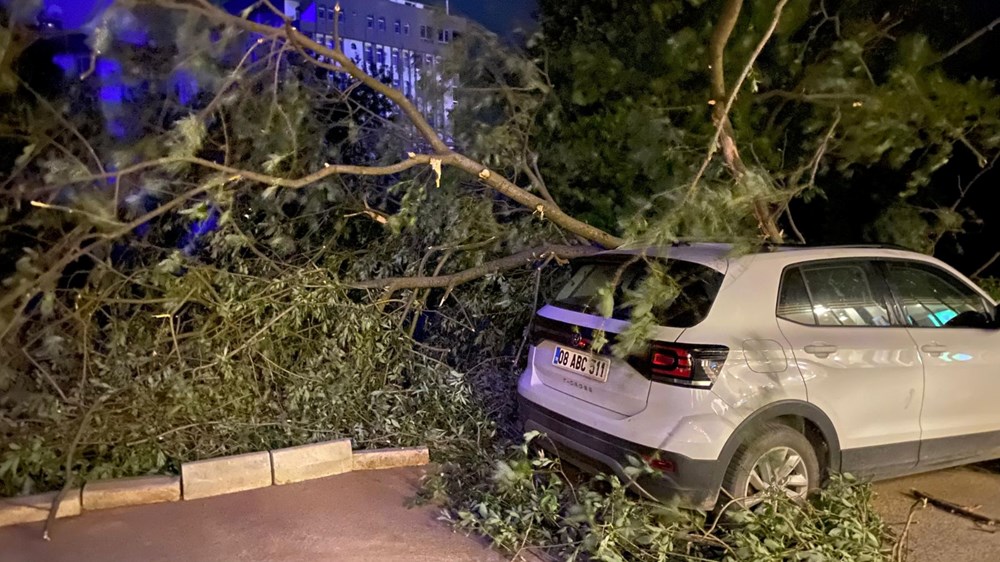 Artvin'i fırtına vurdu: Çatılar uçtu, ağaçlar devrildi - 3