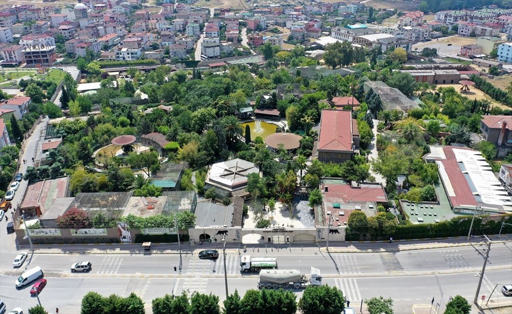 Türkiye'nin büyüleyen güzelliği: Kuş cennetleri (Türkiye'nin kuş cennetleri) - 36