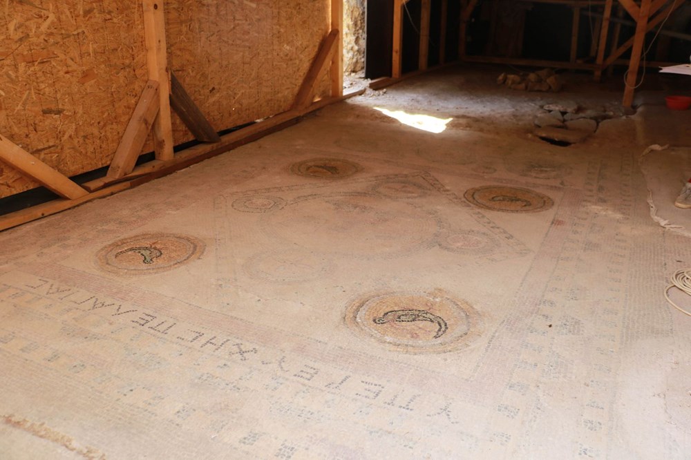 Balatlar Kazısı’nda, Zeugma'dakilere benzer mozaikler bulundu - 11