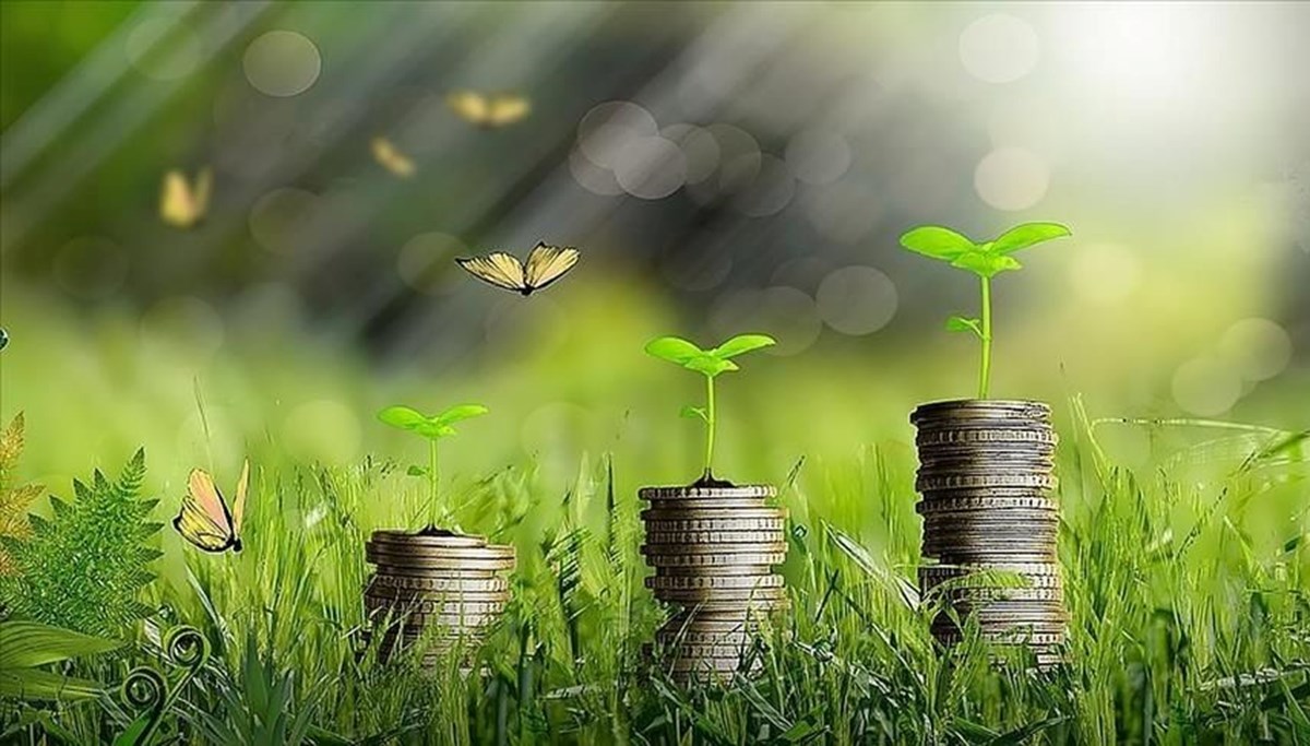 Yeşil dönüşümüm finansmanı için Türkiye Yeşil Fonu kuruluyor