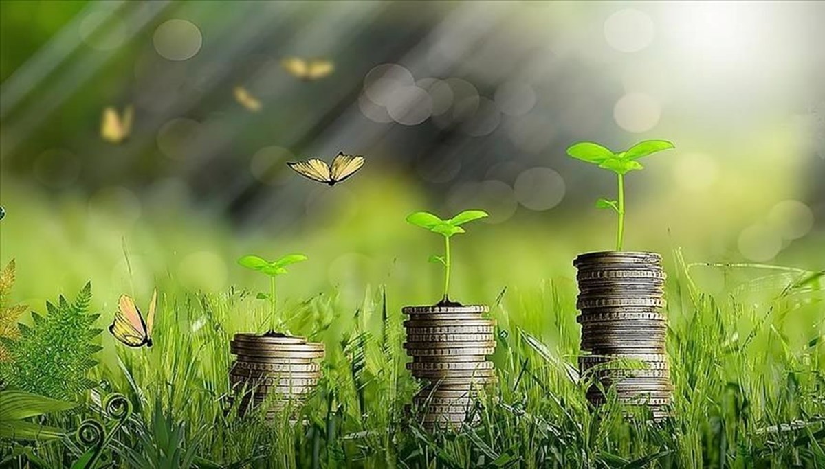 Yeşil dönüşümüm finansmanı için Türkiye Yeşil Fonu kuruluyor Yeşil dönüşümüm finansmanı için Türkiye Yeşil Fonu kuruluyor