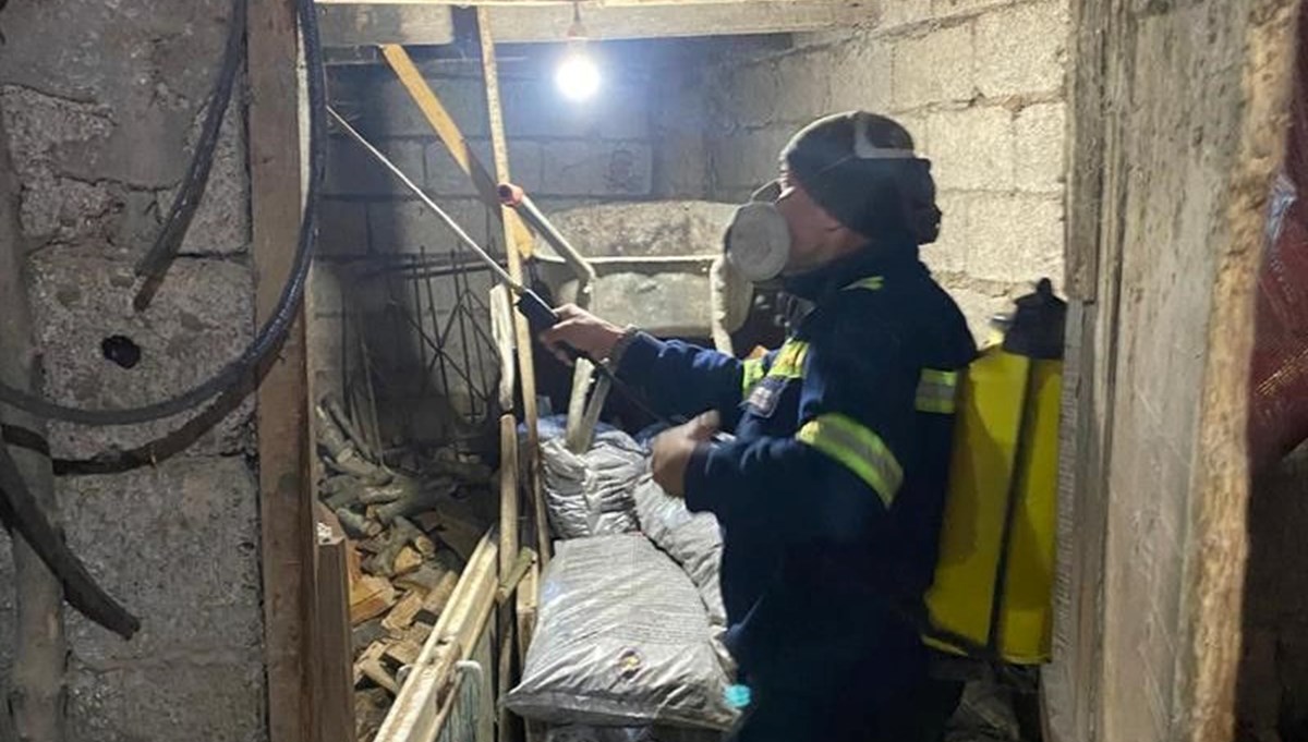 Kahverengi kokarcaya karşı mücadele Kahverengi kokarcaya karşı mücadele