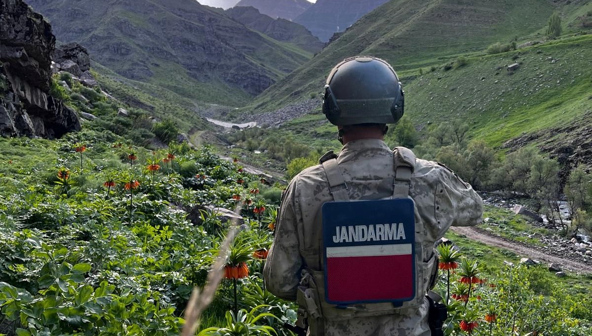 Hakkari'de açan ters laleleri jandarma koruyor