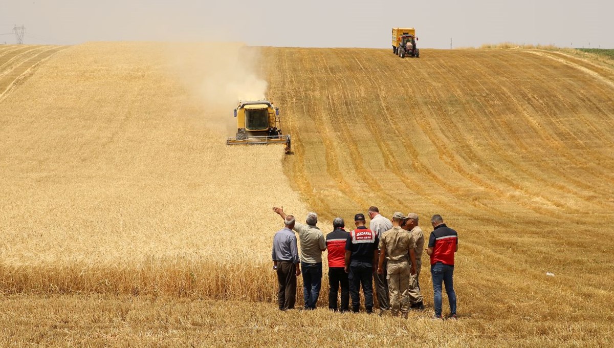 Diyarbakır'da anız yangınıyla mücadele