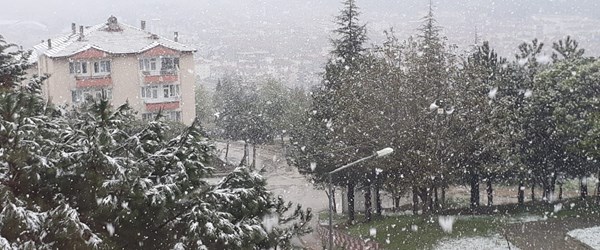 Amasya'da lapa lapa kar