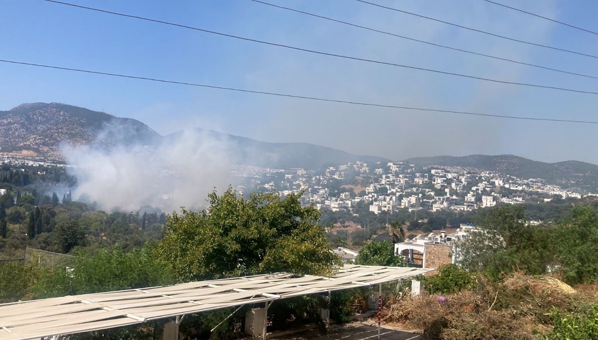 Muğla'da orman yangını