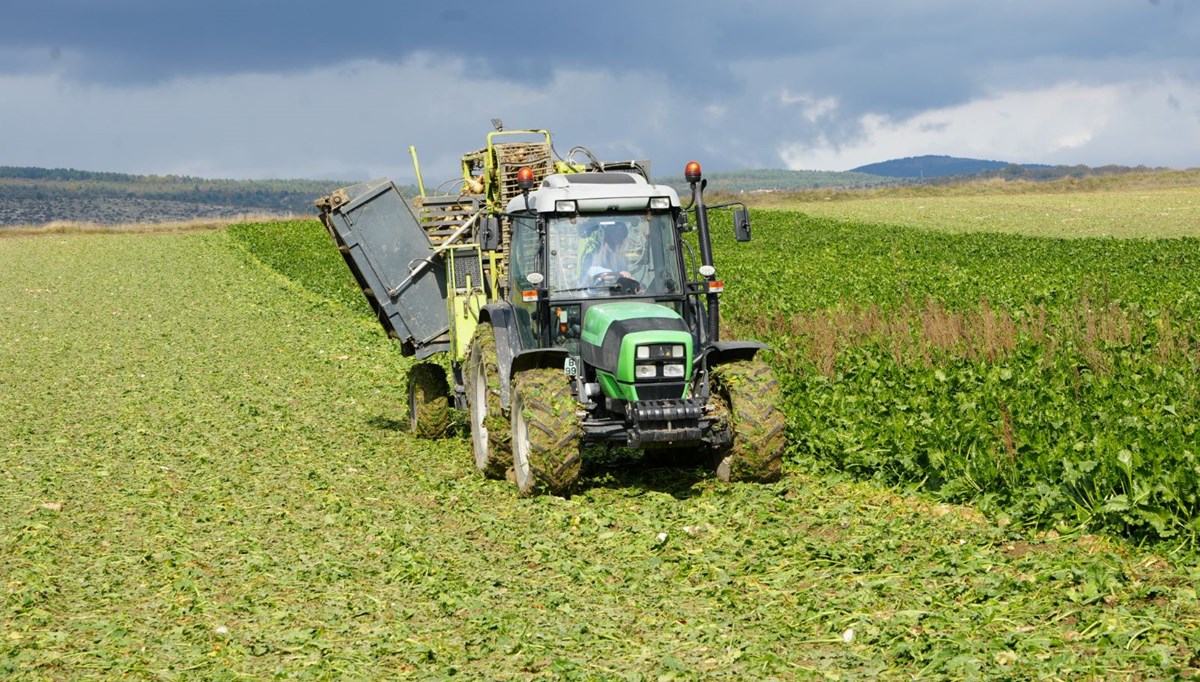 Kastamonu'da pancar mesaisi devam ediyor
