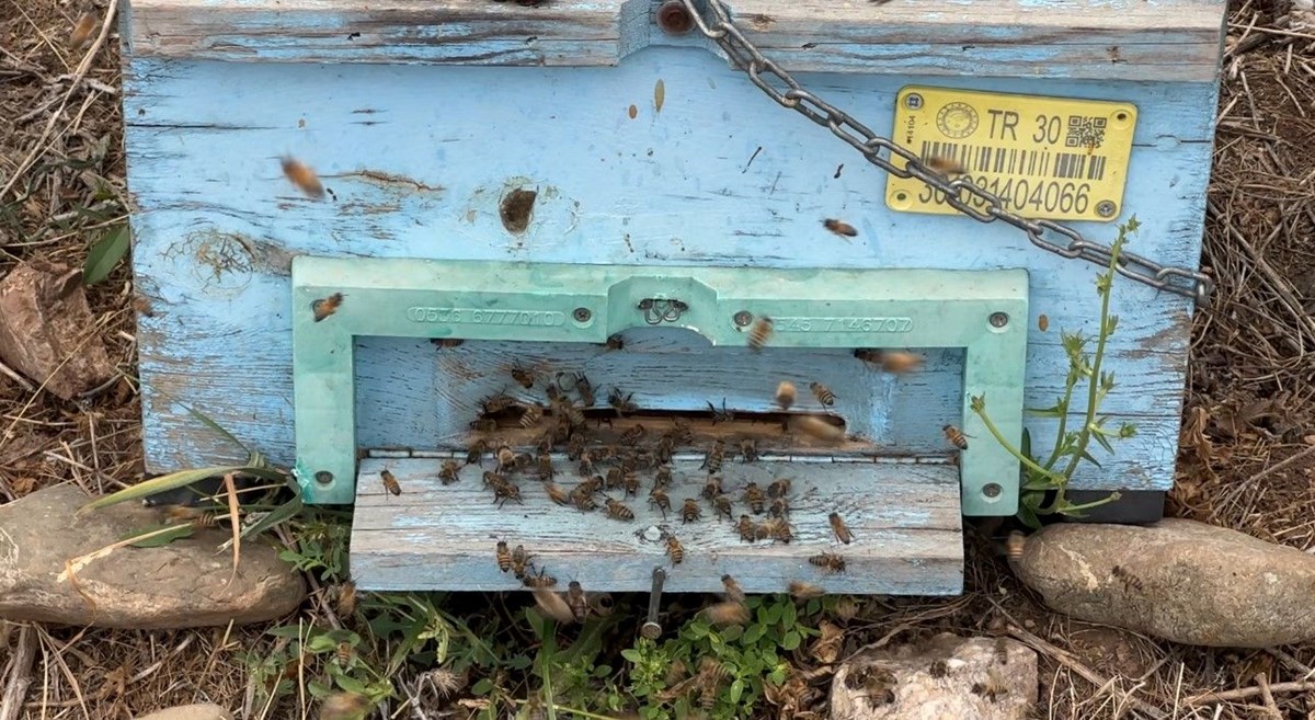 lum8xxZGTkqnoW7Jn4csaw.jpg