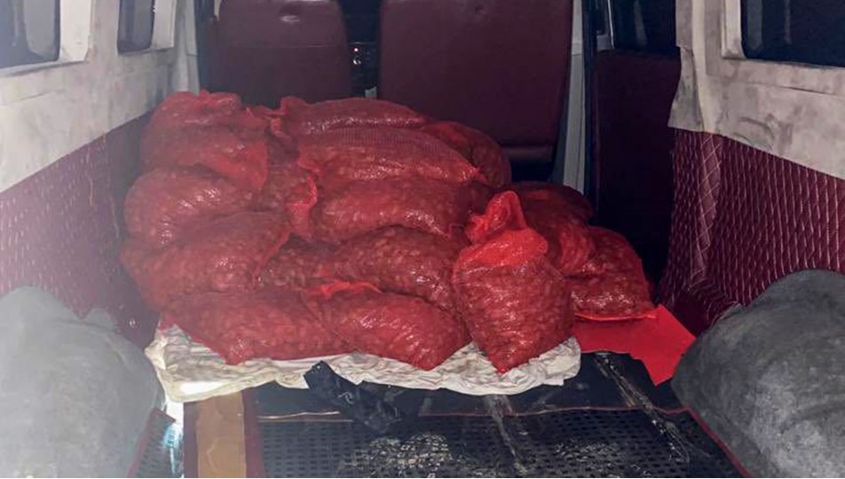 500 kilo kaçak midyeye 100 bin lira ceza