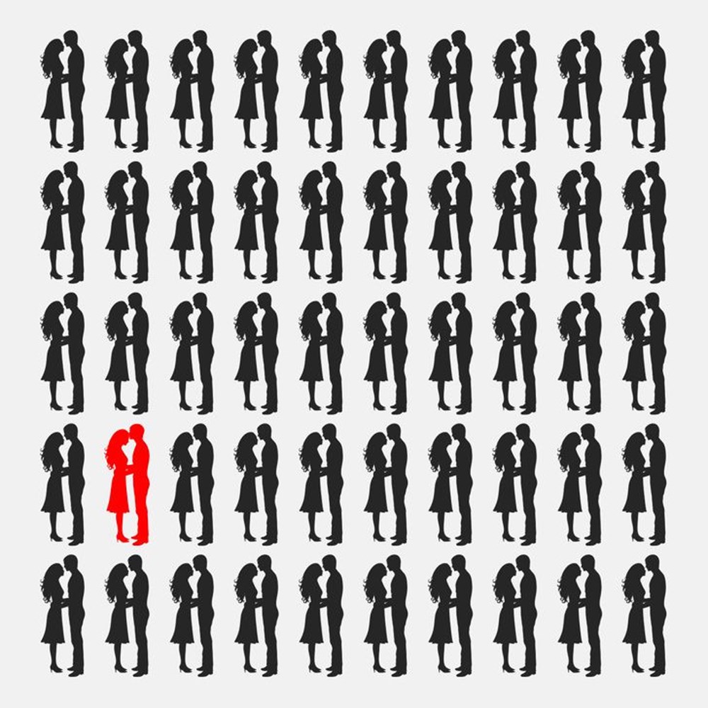 Bu görsel size kim olduğunuzu söylüyor: Resimde ilk önce hangi hayvanı gördünüz? - 111