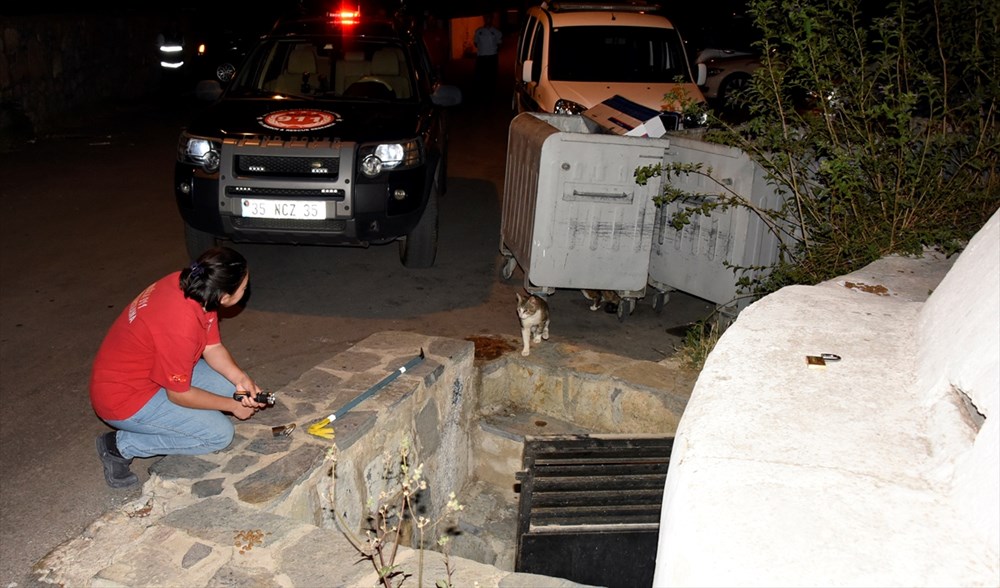 Sarnıca düşen yavru kediyi "kedi sesi" ile kurtardılar NTV