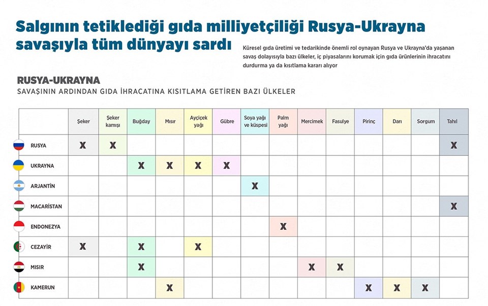 BM: Ukrayna'daki limanlar gıda tedariki için açılsın - 1