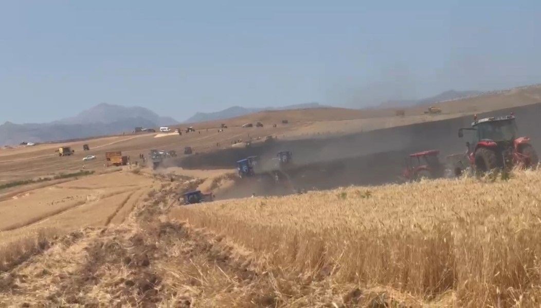 350 dönümlük buğday tarlası yandı
